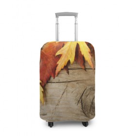 Чехол для чемодана 3D с принтом Золотая осень в Петрозаводске, 86% полиэфир, 14% спандекс | двустороннее нанесение принта, прорези для ручек и колес | дерево | лист | листья | осень