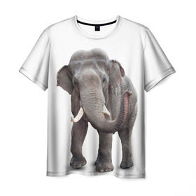 Мужская футболка 3D с принтом Слон VPPDGryphon в Петрозаводске, 100% полиэфир | прямой крой, круглый вырез горловины, длина до линии бедер | Тематика изображения на принте: luxury | premium | vip | vppdgryphon | премиум | слон | эксклюзив