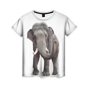 Женская футболка 3D с принтом Слон VPPDGryphon в Петрозаводске, 100% полиэфир ( синтетическое хлопкоподобное полотно) | прямой крой, круглый вырез горловины, длина до линии бедер | Тематика изображения на принте: luxury | premium | vip | vppdgryphon | премиум | слон | эксклюзив