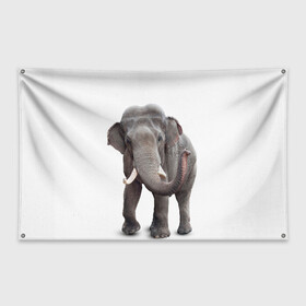 Флаг-баннер с принтом Слон VPPDGryphon в Петрозаводске, 100% полиэстер | размер 67 х 109 см, плотность ткани — 95 г/м2; по краям флага есть четыре люверса для крепления | luxury | premium | vip | vppdgryphon | премиум | слон | эксклюзив