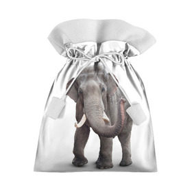 Подарочный 3D мешок с принтом Слон VPPDGryphon в Петрозаводске, 100% полиэстер | Размер: 29*39 см | luxury | premium | vip | vppdgryphon | премиум | слон | эксклюзив