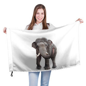 Флаг 3D с принтом Слон VPPDGryphon в Петрозаводске, 100% полиэстер | плотность ткани — 95 г/м2, размер — 67 х 109 см. Принт наносится с одной стороны | luxury | premium | vip | vppdgryphon | премиум | слон | эксклюзив