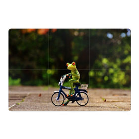 Магнитный плакат 3Х2 с принтом Лягушка в Петрозаводске, Полимерный материал с магнитным слоем | 6 деталей размером 9*9 см | Тематика изображения на принте: велосипед | жаба | животные | лягушка | мини | фигурка