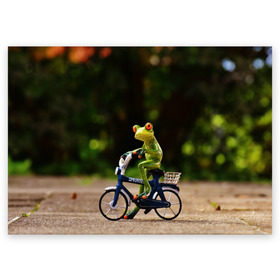 Поздравительная открытка с принтом Лягушка в Петрозаводске, 100% бумага | плотность бумаги 280 г/м2, матовая, на обратной стороне линовка и место для марки
 | Тематика изображения на принте: велосипед | жаба | животные | лягушка | мини | фигурка