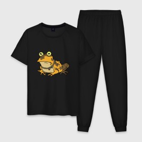 Мужская пижама хлопок с принтом Гипножаба в Петрозаводске, 100% хлопок | брюки и футболка прямого кроя, без карманов, на брюках мягкая резинка на поясе и по низу штанин
 | 