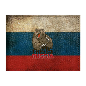 Обложка для студенческого билета с принтом This is Russia в Петрозаводске, натуральная кожа | Размер: 11*8 см; Печать на всей внешней стороне | Тематика изображения на принте: медведь | мишка | патриот | патриотизм | россия | руский | рф | страна | ярусский