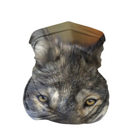 Бандана-труба 3D с принтом Волк в Петрозаводске, 100% полиэстер, ткань с особыми свойствами — Activecool | плотность 150‒180 г/м2; хорошо тянется, но сохраняет форму | волк | волки | волчата | волчонок | хищник