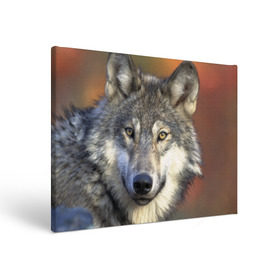 Холст прямоугольный с принтом Волк в Петрозаводске, 100% ПВХ |  | волк | волки | волчата | волчонок | хищник
