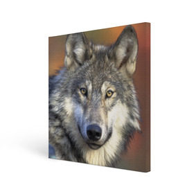 Холст квадратный с принтом Волк в Петрозаводске, 100% ПВХ |  | волк | волки | волчата | волчонок | хищник