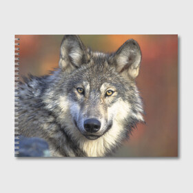 Альбом для рисования с принтом Волк в Петрозаводске, 100% бумага
 | матовая бумага, плотность 200 мг. | волк | волки | волчата | волчонок | хищник
