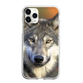 Чехол для iPhone 11 Pro матовый с принтом Волк в Петрозаводске, Силикон |  | волк | волки | волчата | волчонок | хищник