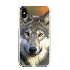 Чехол для iPhone XS Max матовый с принтом Волк в Петрозаводске, Силикон | Область печати: задняя сторона чехла, без боковых панелей | волк | волки | волчата | волчонок | хищник