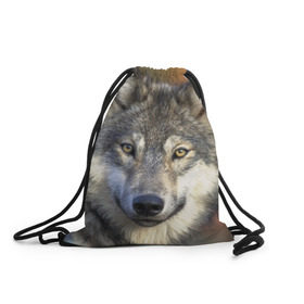 Рюкзак-мешок 3D с принтом Волк в Петрозаводске, 100% полиэстер | плотность ткани — 200 г/м2, размер — 35 х 45 см; лямки — толстые шнурки, застежка на шнуровке, без карманов и подкладки | волк | волки | волчата | волчонок | хищник