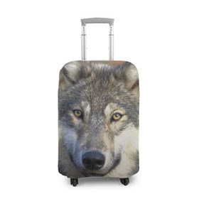 Чехол для чемодана 3D с принтом Волк в Петрозаводске, 86% полиэфир, 14% спандекс | двустороннее нанесение принта, прорези для ручек и колес | волк | волки | волчата | волчонок | хищник