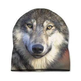 Шапка 3D с принтом Волк в Петрозаводске, 100% полиэстер | универсальный размер, печать по всей поверхности изделия | волк | волки | волчата | волчонок | хищник