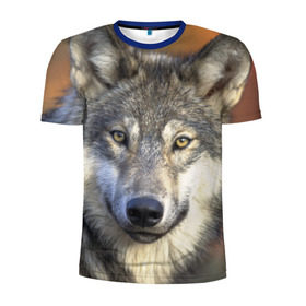 Мужская футболка 3D спортивная с принтом Волк в Петрозаводске, 100% полиэстер с улучшенными характеристиками | приталенный силуэт, круглая горловина, широкие плечи, сужается к линии бедра | волк | волки | волчата | волчонок | хищник