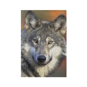 Обложка для паспорта матовая кожа с принтом Волк в Петрозаводске, натуральная матовая кожа | размер 19,3 х 13,7 см; прозрачные пластиковые крепления | волк | волки | волчата | волчонок | хищник