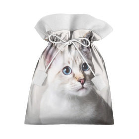 Подарочный 3D мешок с принтом Кошечка в Петрозаводске, 100% полиэстер | Размер: 29*39 см | кот | котики | котята | кошка | рыженький | рыжий | серенький | черненький
