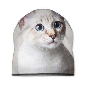 Шапка 3D с принтом Кошечка в Петрозаводске, 100% полиэстер | универсальный размер, печать по всей поверхности изделия | Тематика изображения на принте: кот | котики | котята | кошка | рыженький | рыжий | серенький | черненький