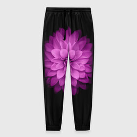 Мужские брюки 3D с принтом Violet в Петрозаводске, 100% полиэстер | манжеты по низу, эластичный пояс регулируется шнурком, по бокам два кармана без застежек, внутренняя часть кармана из мелкой сетки | лепестки | прикольные картинки | фиолетовый | цветочки | цветы