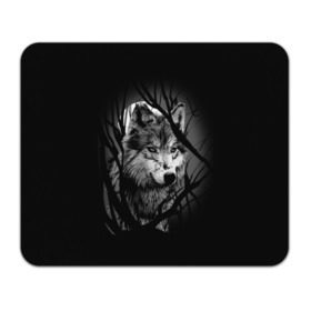 Коврик прямоугольный с принтом Серый волк в Петрозаводске, натуральный каучук | размер 230 х 185 мм; запечатка лицевой стороны | animal | beast | grey | roar | wolf | волк | животное | зверь | рык | серый