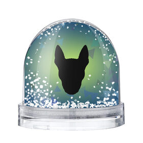 Снежный шар с принтом силуэт Бультерьера в Петрозаводске, Пластик | Изображение внутри шара печатается на глянцевой фотобумаге с двух сторон | зеленый | силуэт | синий | собака | черный