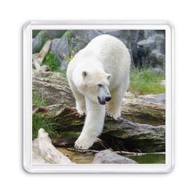 Магнит 55*55 с принтом Белый медведь в Петрозаводске, Пластик | Размер: 65*65 мм; Размер печати: 55*55 мм | арктика