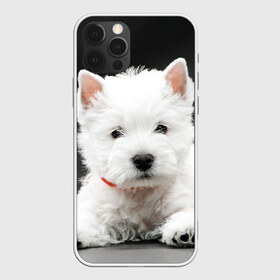 Чехол для iPhone 12 Pro Max с принтом Вест-хайленд-уайт-терьер в Петрозаводске, Силикон |  | Тематика изображения на принте: вест хайленд уайт терьер | животное | порода | собака
