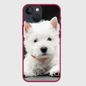 Чехол для iPhone 13 mini с принтом Вест хайленд уайт терьер в Петрозаводске,  |  | вест хайленд уайт терьер | животное | порода | собака