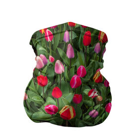 Бандана-труба 3D с принтом Тюльпанчики в Петрозаводске, 100% полиэстер, ткань с особыми свойствами — Activecool | плотность 150‒180 г/м2; хорошо тянется, но сохраняет форму | зеленый | поле | природа | растения | тюльпаны | цветной | цветы