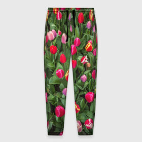 Мужские брюки 3D с принтом Тюльпанчики в Петрозаводске, 100% полиэстер | манжеты по низу, эластичный пояс регулируется шнурком, по бокам два кармана без застежек, внутренняя часть кармана из мелкой сетки | зеленый | поле | природа | растения | тюльпаны | цветной | цветы