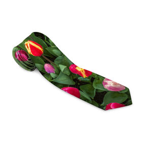 Галстук 3D с принтом Тюльпанчики в Петрозаводске, 100% полиэстер | Длина 148 см; Плотность 150-180 г/м2 | Тематика изображения на принте: зеленый | поле | природа | растения | тюльпаны | цветной | цветы