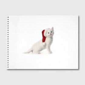 Альбом для рисования с принтом Киса в Шапочке в Петрозаводске, 100% бумага
 | матовая бумага, плотность 200 мг. | cat | christmas | new year | winter | дед мороз | зима | кисы | кошки | новый год | рождество