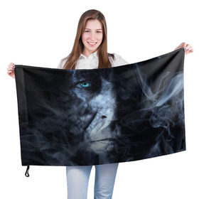 Флаг 3D с принтом Дым в Петрозаводске, 100% полиэстер | плотность ткани — 95 г/м2, размер — 67 х 109 см. Принт наносится с одной стороны | дым | призрак | эксклюзив