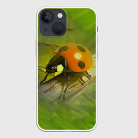 Чехол для iPhone 13 mini с принтом Божья коровка в Петрозаводске,  |  | божья коробка | букашка | жук | природа