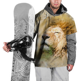 Накидка на куртку 3D с принтом Лев в Петрозаводске, 100% полиэстер |  | зверь | лев | тигр | хищник