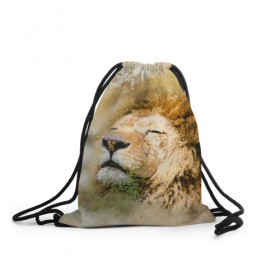 Рюкзак-мешок 3D с принтом Лев в Петрозаводске, 100% полиэстер | плотность ткани — 200 г/м2, размер — 35 х 45 см; лямки — толстые шнурки, застежка на шнуровке, без карманов и подкладки | зверь | лев | тигр | хищник
