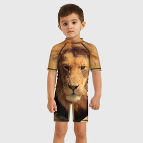 Детский купальный костюм 3D с принтом Лев в Петрозаводске, Полиэстер 85%, Спандекс 15% | застежка на молнии на спине | животные | кошка | лев | тигр | хищник