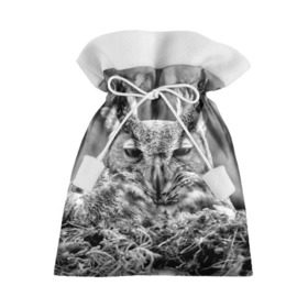 Подарочный 3D мешок с принтом Филин в Петрозаводске, 100% полиэстер | Размер: 29*39 см | Тематика изображения на принте: bird | nest | night | nocturnal | owl | predator | гнездо | ночной | птица | сова | филин | хищник
