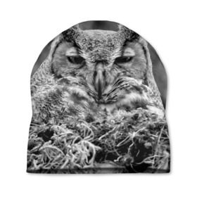 Шапка 3D с принтом Филин в Петрозаводске, 100% полиэстер | универсальный размер, печать по всей поверхности изделия | bird | nest | night | nocturnal | owl | predator | гнездо | ночной | птица | сова | филин | хищник