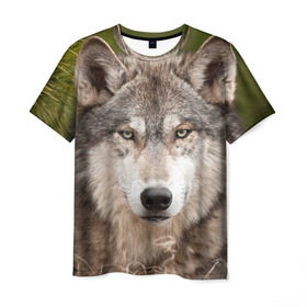 Мужская футболка 3D с принтом Волк в Петрозаводске, 100% полиэфир | прямой крой, круглый вырез горловины, длина до линии бедер | Тематика изображения на принте: animal | eyes | forest | predator | wild | wolf | взгляд | волк | дикий | животное | зверь | лес | хищник