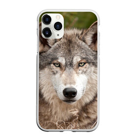 Чехол для iPhone 11 Pro матовый с принтом Волк в Петрозаводске, Силикон |  | animal | eyes | forest | predator | wild | wolf | взгляд | волк | дикий | животное | зверь | лес | хищник