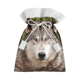 Подарочный 3D мешок с принтом Волк в Петрозаводске, 100% полиэстер | Размер: 29*39 см | animal | eyes | forest | predator | wild | wolf | взгляд | волк | дикий | животное | зверь | лес | хищник