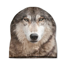 Шапка 3D с принтом Волк в Петрозаводске, 100% полиэстер | универсальный размер, печать по всей поверхности изделия | animal | eyes | forest | predator | wild | wolf | взгляд | волк | дикий | животное | зверь | лес | хищник