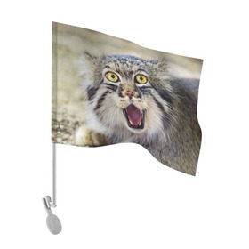 Флаг для автомобиля с принтом Дикий кот в Петрозаводске, 100% полиэстер | Размер: 30*21 см | animal | cat | eyes | jaws | predator | teeth | wild | взгляд | дикий | животное | клыки | кот | пасть | хищник