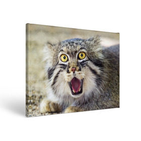Холст прямоугольный с принтом Дикий кот в Петрозаводске, 100% ПВХ |  | Тематика изображения на принте: animal | cat | eyes | jaws | predator | teeth | wild | взгляд | дикий | животное | клыки | кот | пасть | хищник