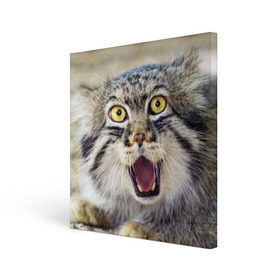 Холст квадратный с принтом Дикий кот в Петрозаводске, 100% ПВХ |  | animal | cat | eyes | jaws | predator | teeth | wild | взгляд | дикий | животное | клыки | кот | пасть | хищник