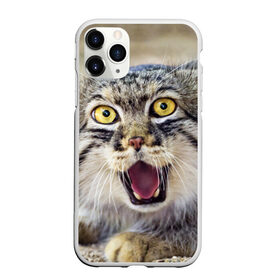 Чехол для iPhone 11 Pro матовый с принтом Дикий кот в Петрозаводске, Силикон |  | animal | cat | eyes | jaws | predator | teeth | wild | взгляд | дикий | животное | клыки | кот | пасть | хищник