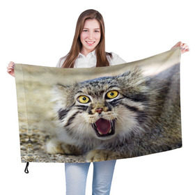 Флаг 3D с принтом Дикий кот в Петрозаводске, 100% полиэстер | плотность ткани — 95 г/м2, размер — 67 х 109 см. Принт наносится с одной стороны | animal | cat | eyes | jaws | predator | teeth | wild | взгляд | дикий | животное | клыки | кот | пасть | хищник