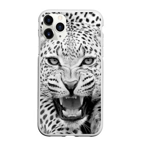 Чехол для iPhone 11 Pro матовый с принтом Леопард в Петрозаводске, Силикон |  | animal | eyes | jaws | leopard | malicious | predator | spotted | teeth | wild | взгляд | дикий | животное | злой | клыки | леопард | оскал | пасть | пятнистый | хищник